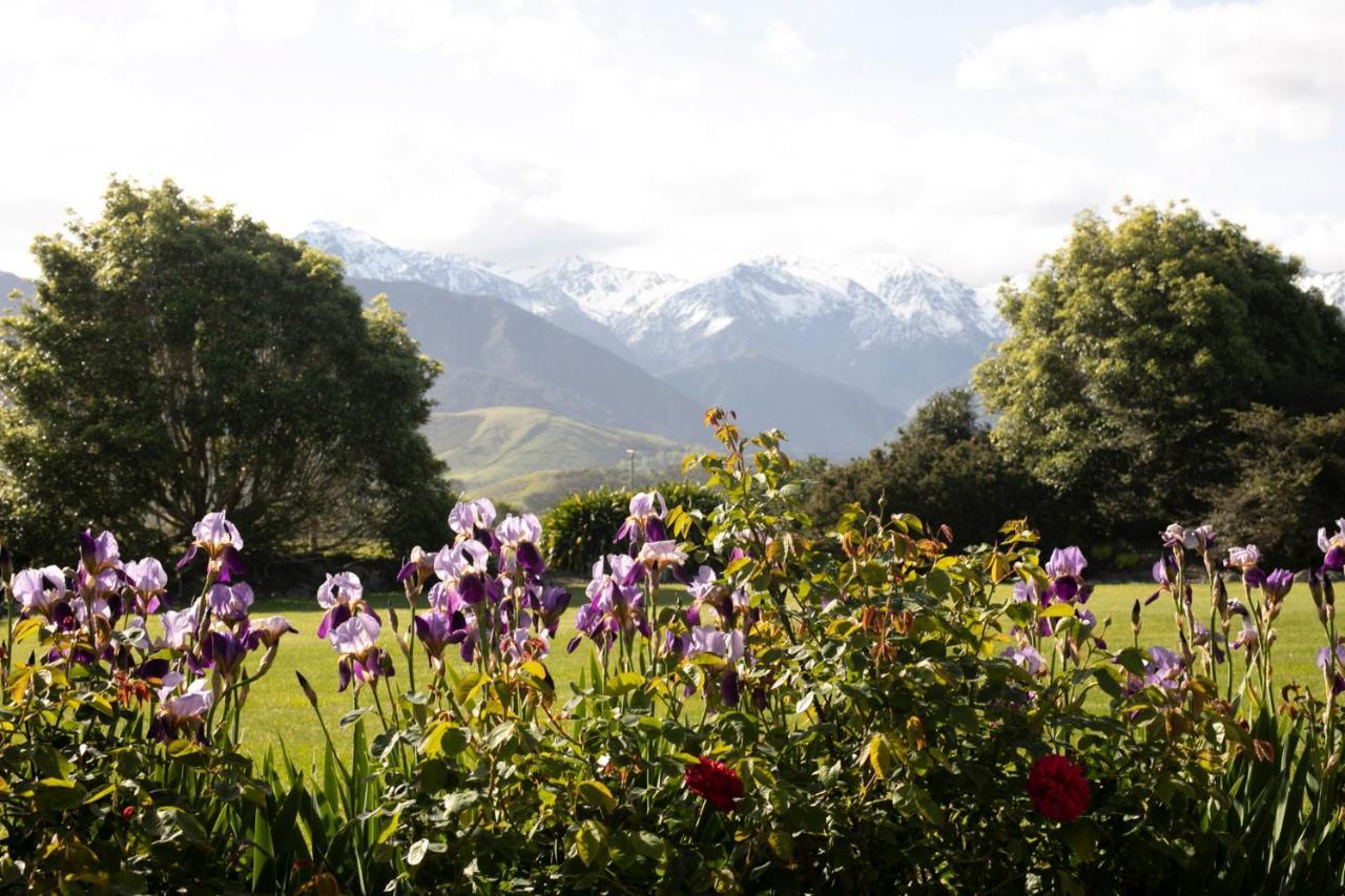 Awatea Country Bed & Breakfast Kaikoura Exterior photo