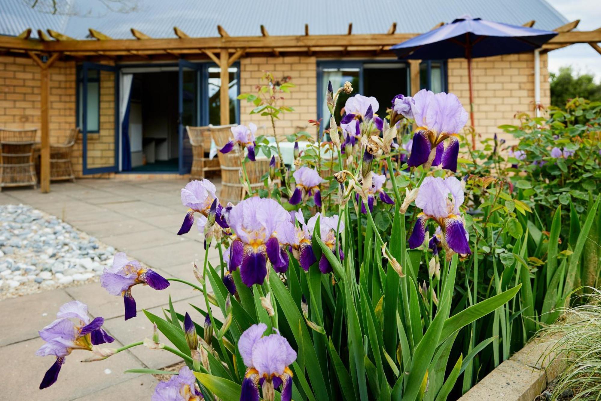 Awatea Country Bed & Breakfast Kaikoura Exterior photo