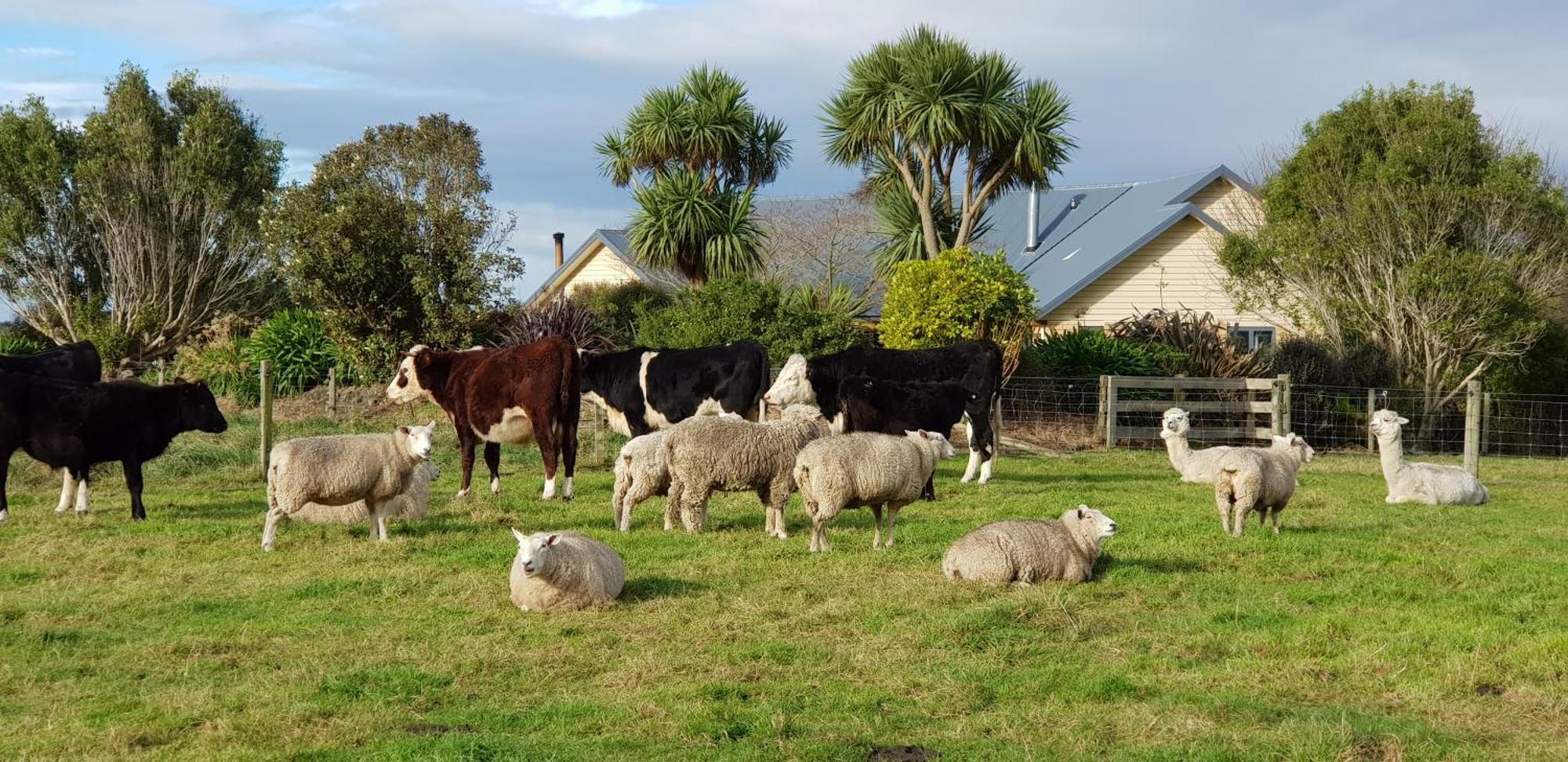 Awatea Country Bed & Breakfast Kaikoura Exterior photo