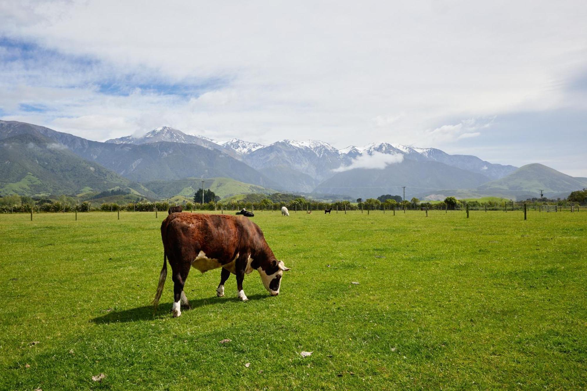 Awatea Country Bed & Breakfast Kaikoura Exterior photo